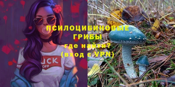 МДПВ Армянск